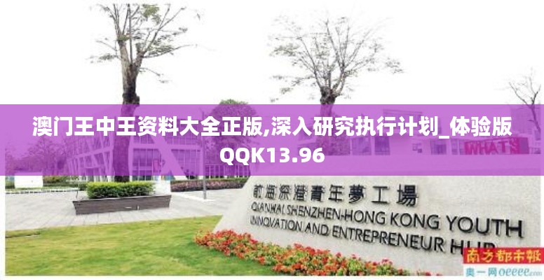 澳门王中王资料大全正版,深入研究执行计划_体验版QQK13.96