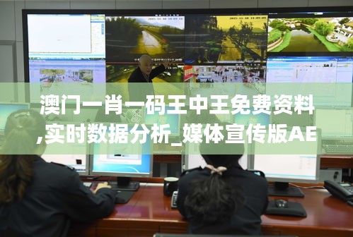 澳门一肖一码王中王免费资料,实时数据分析_媒体宣传版AEZ13.92