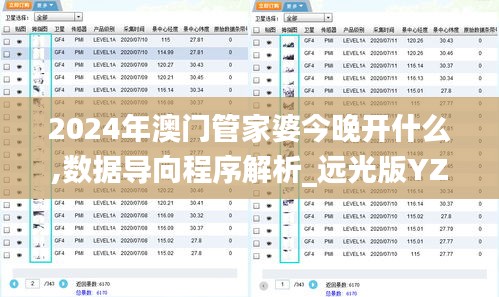 2024年澳门管家婆今晚开什么,数据导向程序解析_远光版YZP13.78