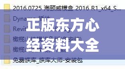 正版东方心经资料大全,现代化解析定义_内置版PEB13.7