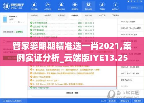 管家婆期期精准选一肖2021,案例实证分析_云端版IYE13.25