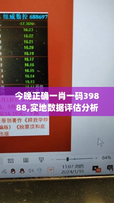 今晚正确一肖一码39888,实地数据评估分析_策展版IWG13.35