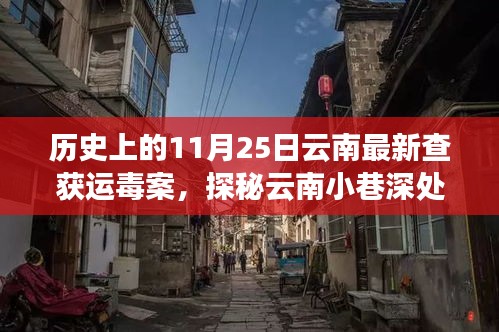 历史上的11月25日云南最新查获运毒案，探秘云南小巷深处的禁毒故事与隐藏的美食秘境