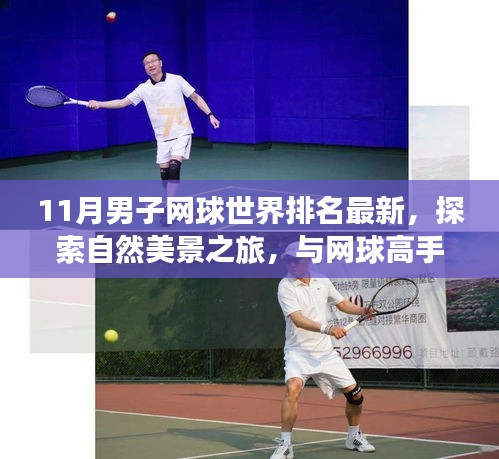 11月男子网球世界排名更新，自然美景之旅与高手共舞的心灵宁静之地探索