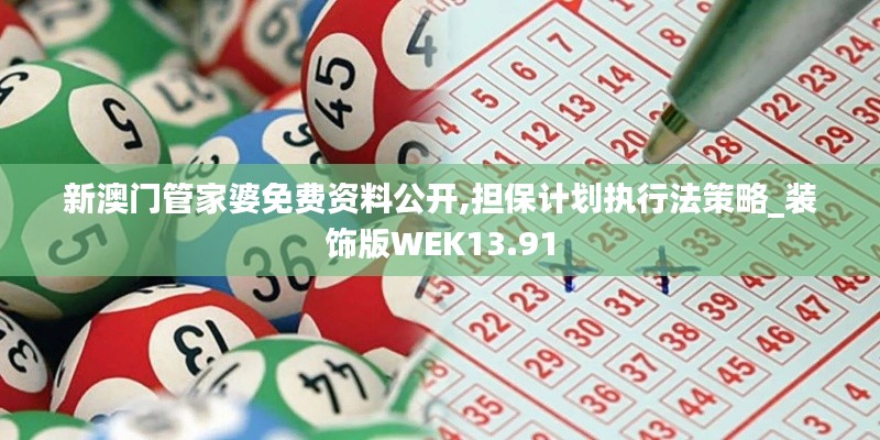 新澳门管家婆免费资料公开,担保计划执行法策略_装饰版WEK13.91