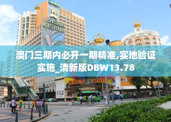 澳门三期内必开一期精准,实地验证实施_清新版DBW13.78