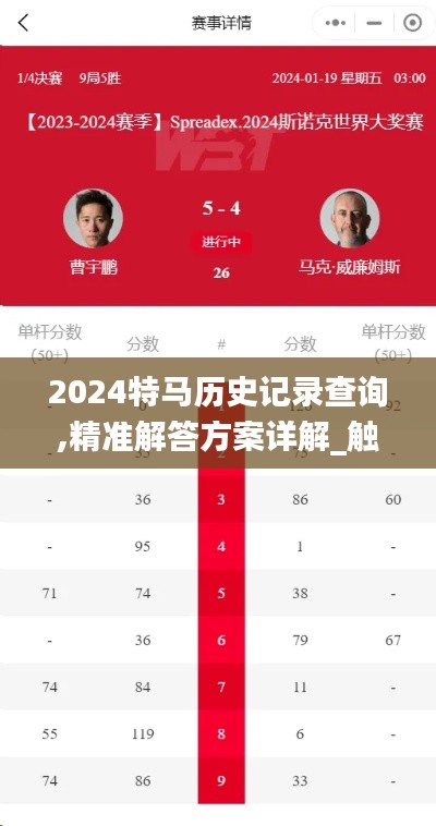 2024特马历史记录查询,精准解答方案详解_触感版VSS13.35