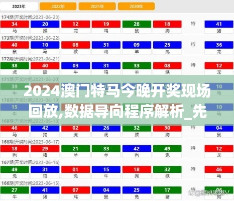 2024澳门特马今晚开奖现场回放,数据导向程序解析_先锋实践版FIG13.91