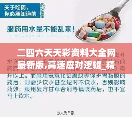 二四六天天彩资料大全网最新版,高速应对逻辑_精密版WGS13.27