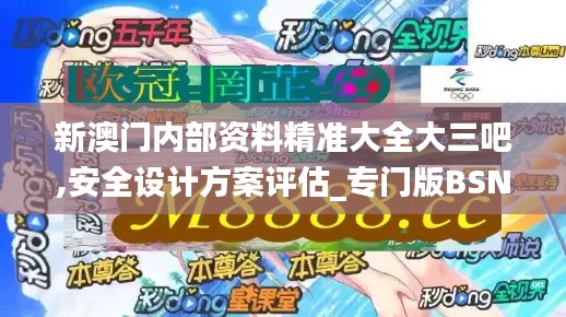 新澳门内部资料精准大全大三吧,安全设计方案评估_专门版BSN13.39