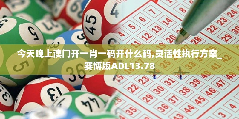 今天晚上澳门开一肖一码开什么码,灵活性执行方案_赛博版ADL13.78