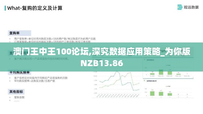 澳门王中王100论坛,深究数据应用策略_为你版NZB13.86