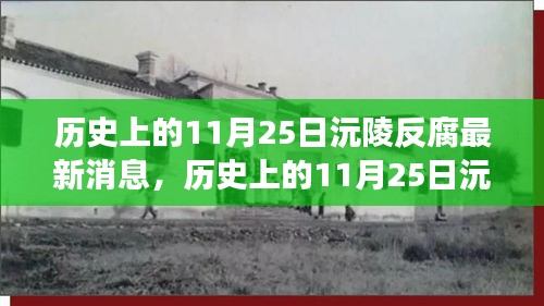 历史上的11月25日沅陵反腐动态，最新消息与深度解析