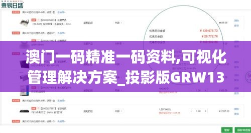 澳门一码精准一码资料,可视化管理解决方案_投影版GRW13.8