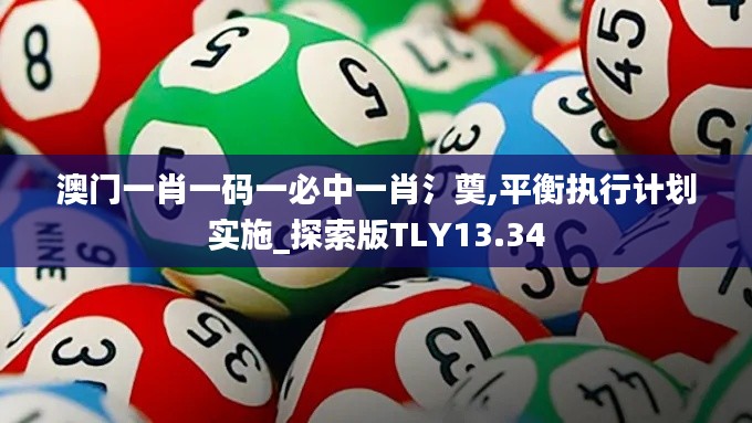 澳门一肖一码一必中一肖氵奠,平衡执行计划实施_探索版TLY13.34