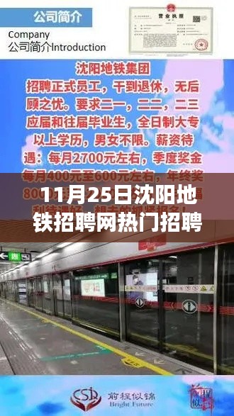 探秘小巷特色小店与沈阳地铁招聘网热门职位背后的故事，11月25日招聘热点解析