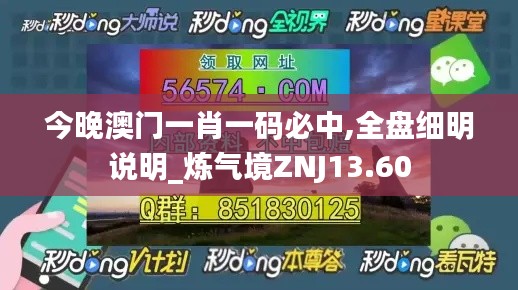 今晚澳门一肖一码必中,全盘细明说明_炼气境ZNJ13.60