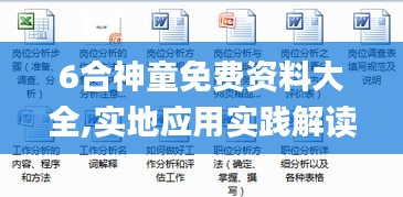 6合神童免费资料大全,实地应用实践解读_DIY工具版OSI13.61