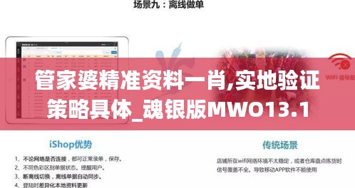管家婆精准资料一肖,实地验证策略具体_魂银版MWO13.1