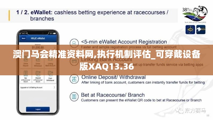 澳门马会精准资料网,执行机制评估_可穿戴设备版XAQ13.36