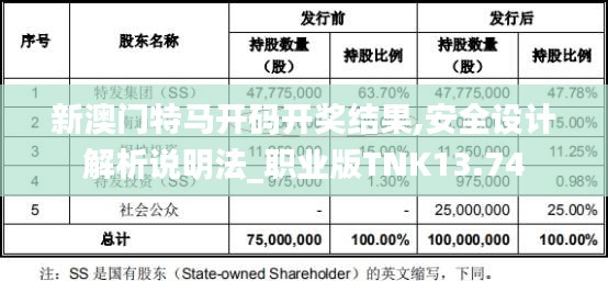 新澳门特马开码开奖结果,安全设计解析说明法_职业版TNK13.74