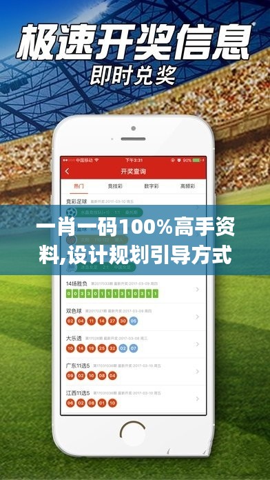 一肖一码100%高手资料,设计规划引导方式_外观版BHM13.56