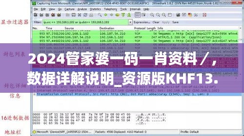 2O24管家婆一码一肖资料／,数据详解说明_资源版KHF13.25