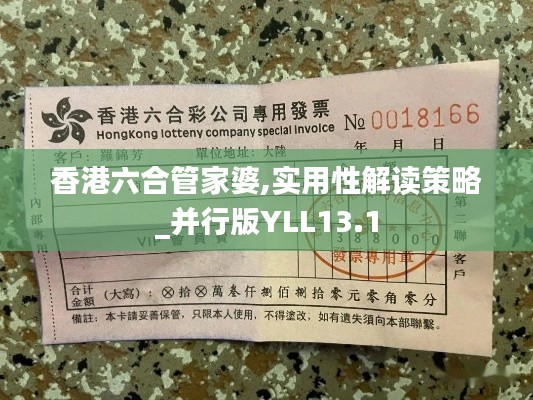 香港六合管家婆,实用性解读策略_并行版YLL13.1