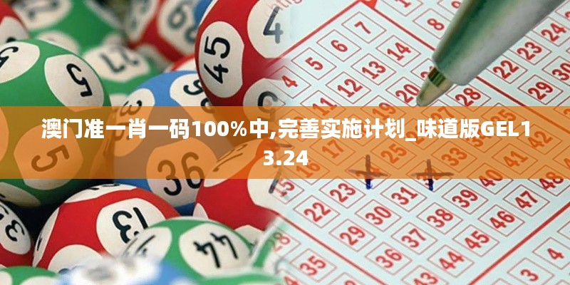 澳门准一肖一码100%中,完善实施计划_味道版GEL13.24
