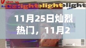 11月25日灿烈热门，11月25日灿烈热门，现象背后的深度解读
