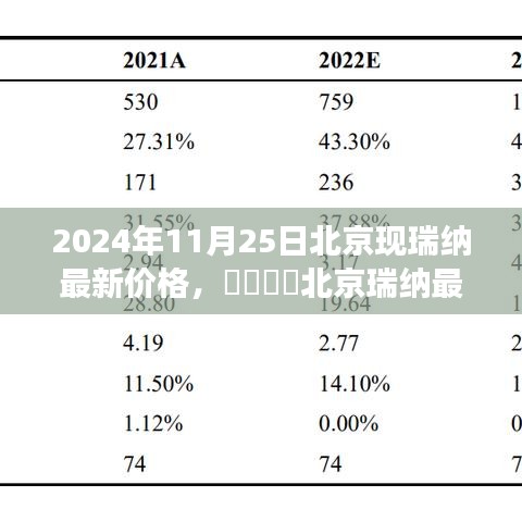 2024年11月25日北京瑞纳最新价格指南，市场行情与价格透明化