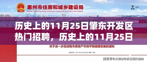 历史上的11月25日肇东开发区热门招聘活动概览与深度评测