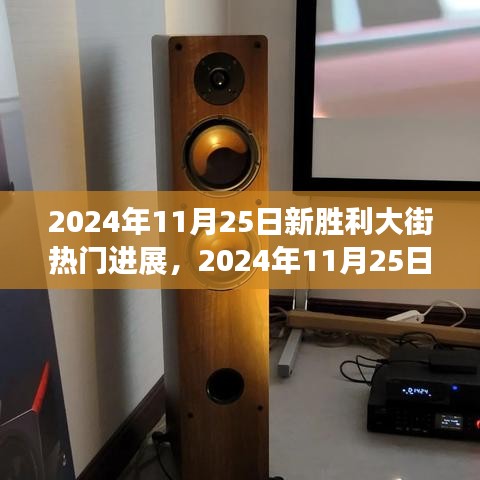 2024年11月25日新胜利大街热门进展，2024年11月25日新胜利大街任务完成指南，一步步掌握关键技能