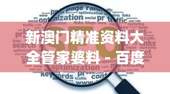 新澳门精准资料大全管家婆料 - 百度,高速响应计划执行_任务版LAH13.78