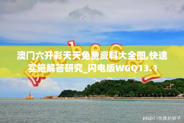 澳门六开彩天天免费资料大全图,快速实施解答研究_闪电版WGQ13.1