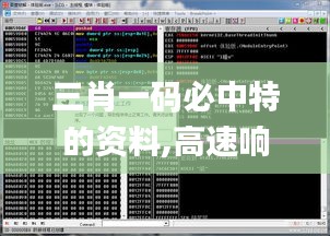 三肖一码必中特的资料,高速响应计划执行_VR版MIE13.48
