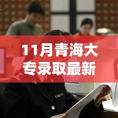 揭秘青海大专录取最新情况，深度解析与全面体验评测报告