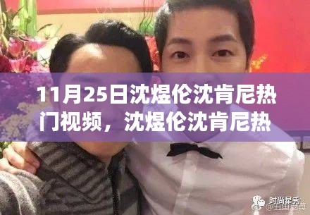 11月25日沈煜伦沈肯尼热门视频，沈煜伦沈肯尼热门视频盛典，一场跨时代的网络文化现象回顾