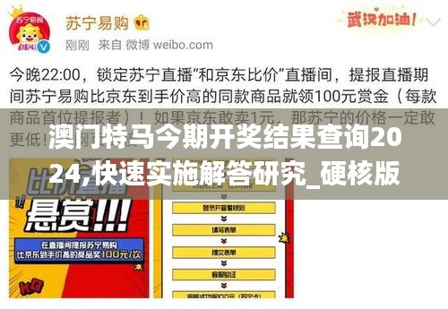 澳门特马今期开奖结果查询2024,快速实施解答研究_硬核版KJB13.51