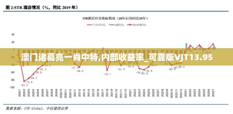 澳门诸葛亮一肖中特,内部收益率_可靠版VJT13.95