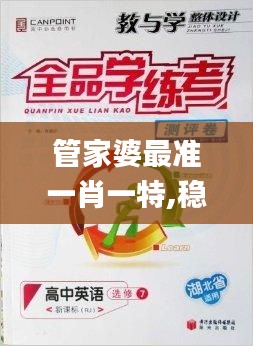 管家婆最准一肖一特,稳健设计策略_实用版NDC13.12