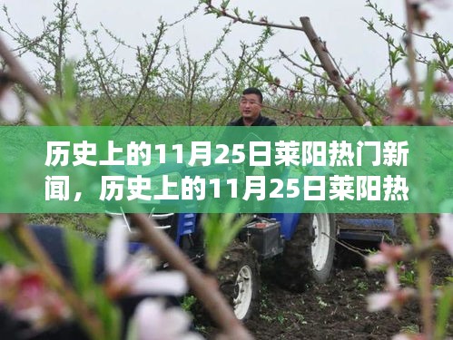历史上的11月25日莱阳热门新闻，历史上的11月25日莱阳热门新闻，深度探究与观点阐述