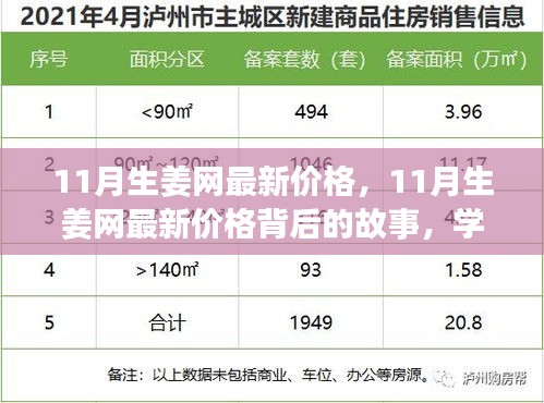 揭秘11月生姜网最新价格背后的故事，自信成长的力量与价格变化学习之路