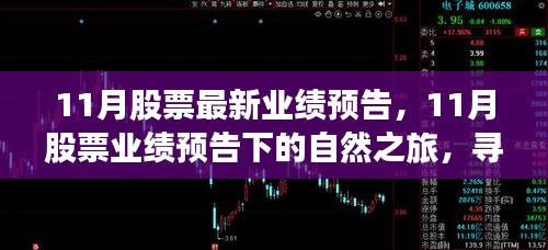 11月股票业绩预告下的心灵之旅，探寻内心平和与宁静的契机