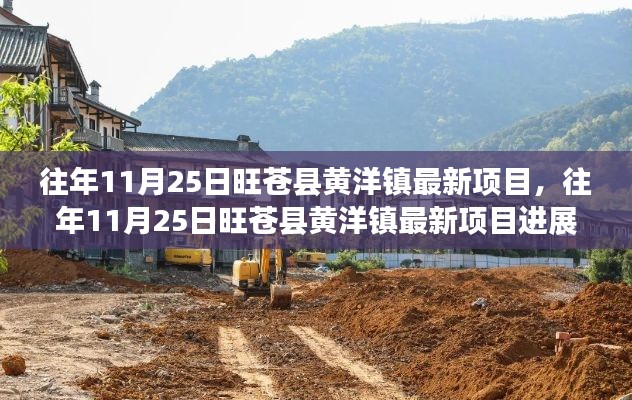 往年11月25日旺苍县黄洋镇最新项目进展及洞察揭秘