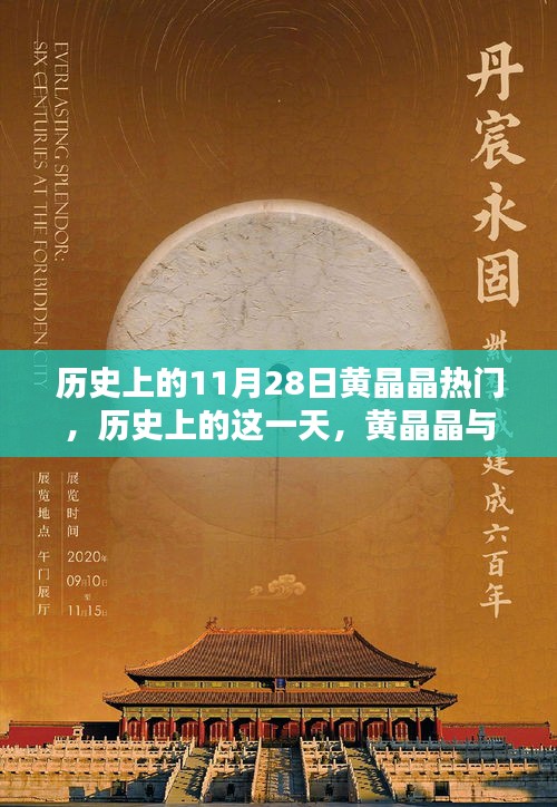 历史上的11月28日黄晶晶热门，历史上的这一天，黄晶晶与自然的奇妙邂逅