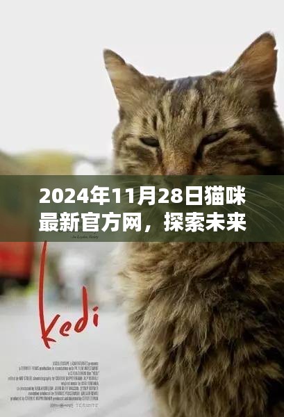2024年猫咪最新官方网，探索未来趋势