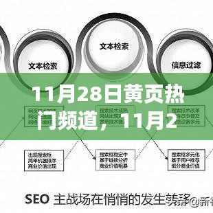 探索最新趋势与成功案例，11月28日黄页热门频道概览