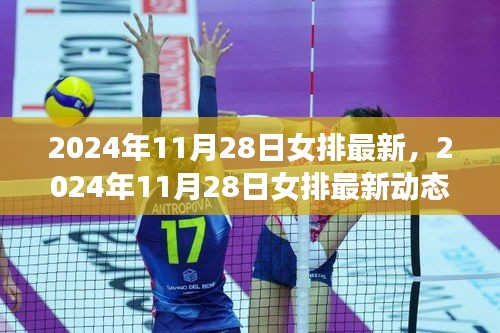 独家解析，女排最新动态与战术深度解读，崛起之路尽在掌握