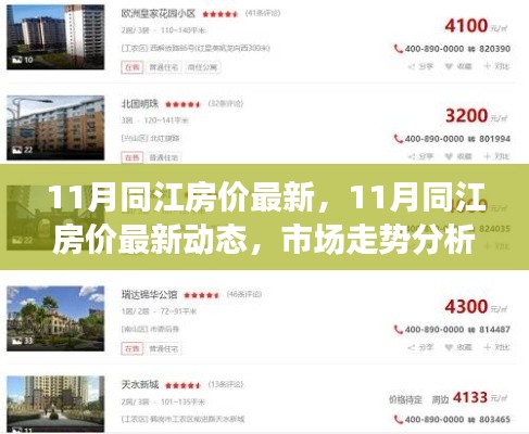 11月同江房价最新动态及市场走势分析，购房指南